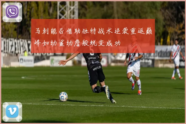 马刺能否借助独特战术逆袭重返巅峰如幼鲨幼詹般蜕变成功